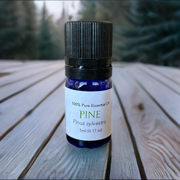 Pine Essential Oil 5ml