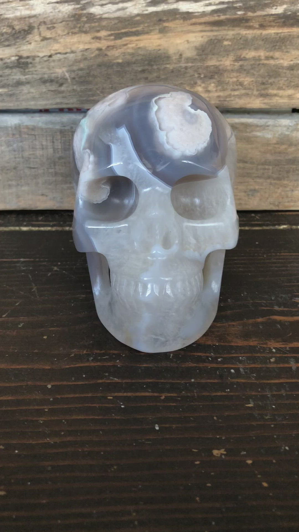 Indian Agate Skull
