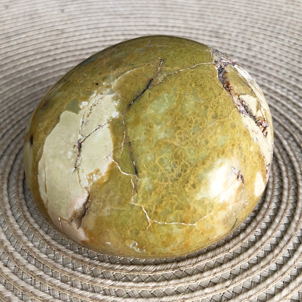Green Opal Palm Stone for Creativity and Healing - Zinzeudo Infinite Wellness