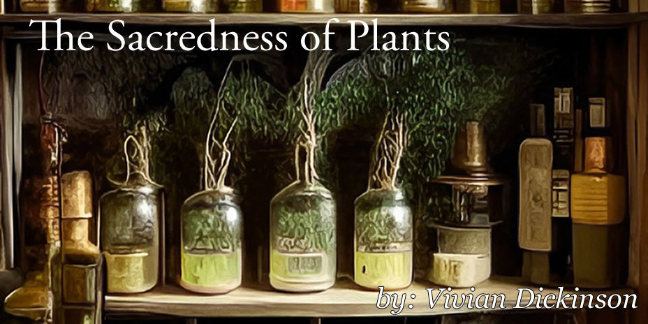 The Sacredness of Plants