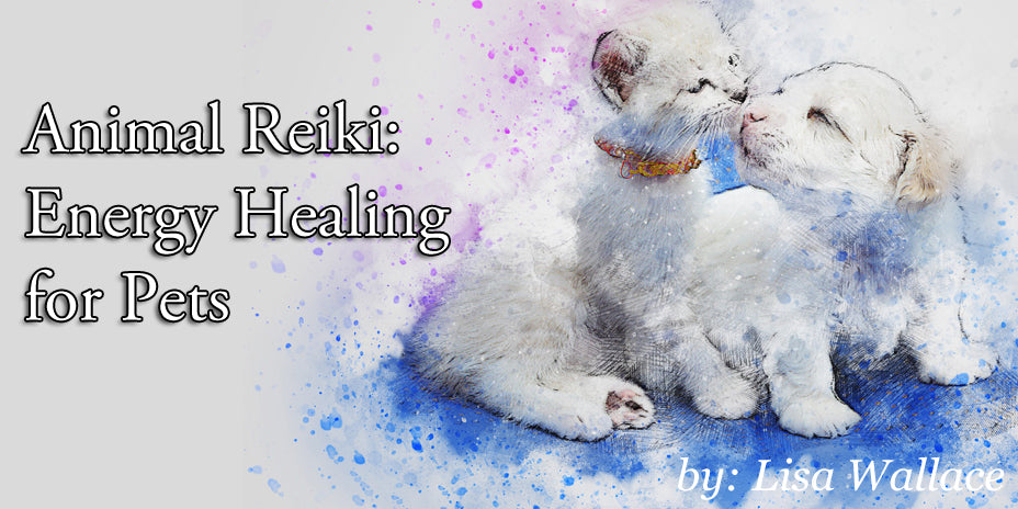 Animal Reiki: Energy Healing for Pets