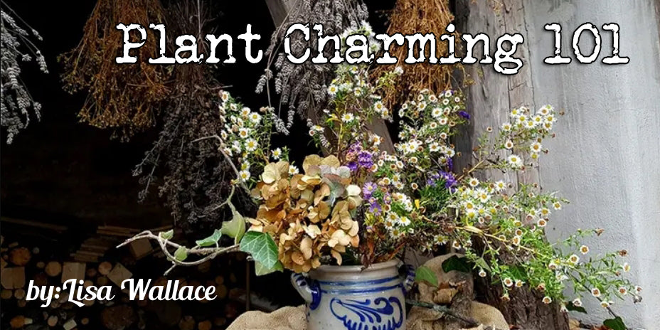 Plant Charming 101
