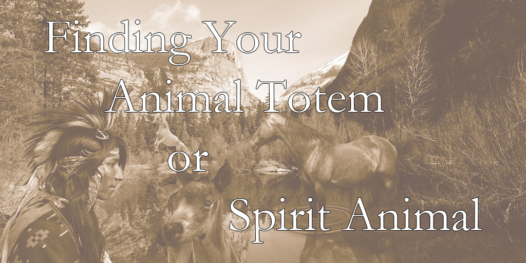 Finding your Animal Totem or Spirit Animal