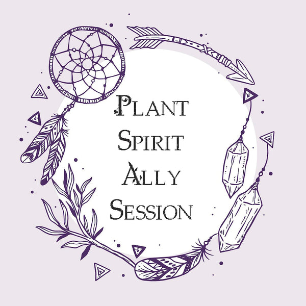 Plant Spirit Ally Session