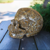 Coffee Opal Skull
