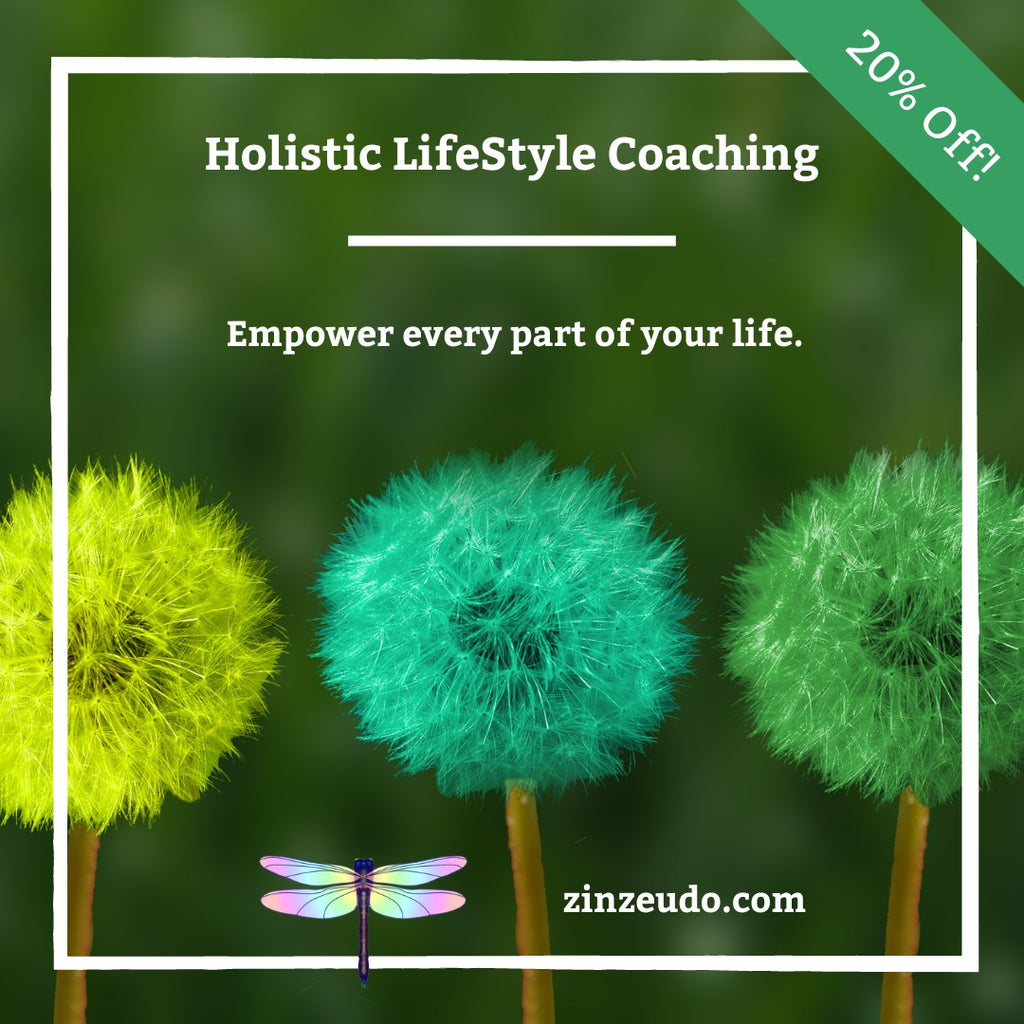 Holistic Lifestyle Coaching - Zinzeudo Infinite Wellness