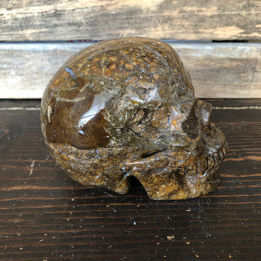 Coffee Opal Skull