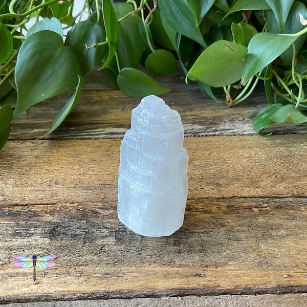 Mini Selenite Icebergs - Zinzeudo Infinite Wellness
