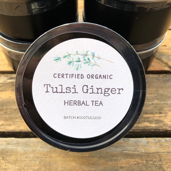 Tulsi Ginger Herbal Tea - Zinzeudo Infinite Wellness