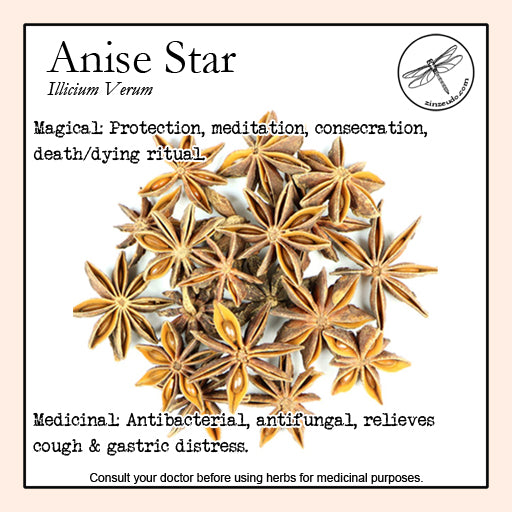 Anise Star 1 oz. (organic) - Zinzeudo Infinite Wellness