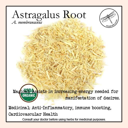 Astragalus Root 1oz (organic) - Zinzeudo Infinite Wellness