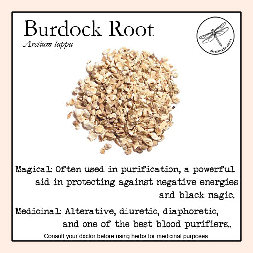 Burdock Root 1 oz. (organic) - Zinzeudo Infinite Wellness