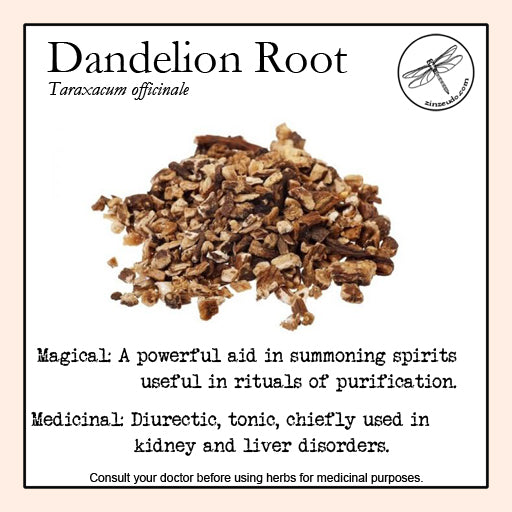 Dandelion Root 1oz (wildcrafted) - Zinzeudo Infinite Wellness