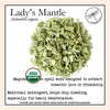 Lady's Mantle 1 oz. (organic) - Zinzeudo Infinite Wellness