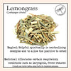 Lemongrass 1 oz. (organic) - Zinzeudo Infinite Wellness