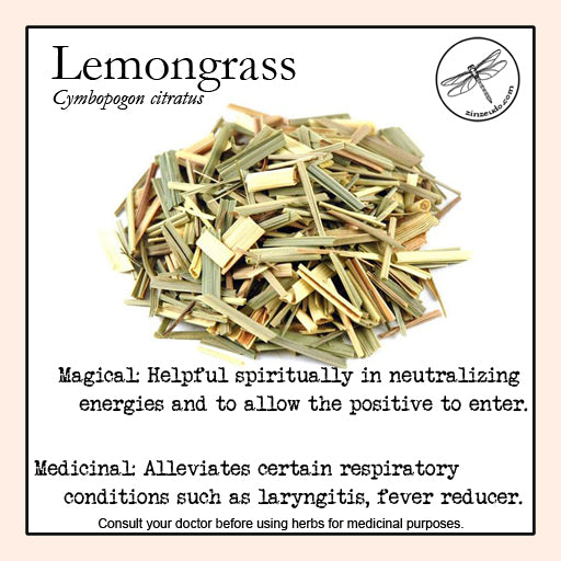 Lemongrass 1 oz. (organic) - Zinzeudo Infinite Wellness