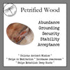 Petrified Wood Tumbled Stones for Ancient Wisdom & Abundance - Zinzeudo Infinite Wellness