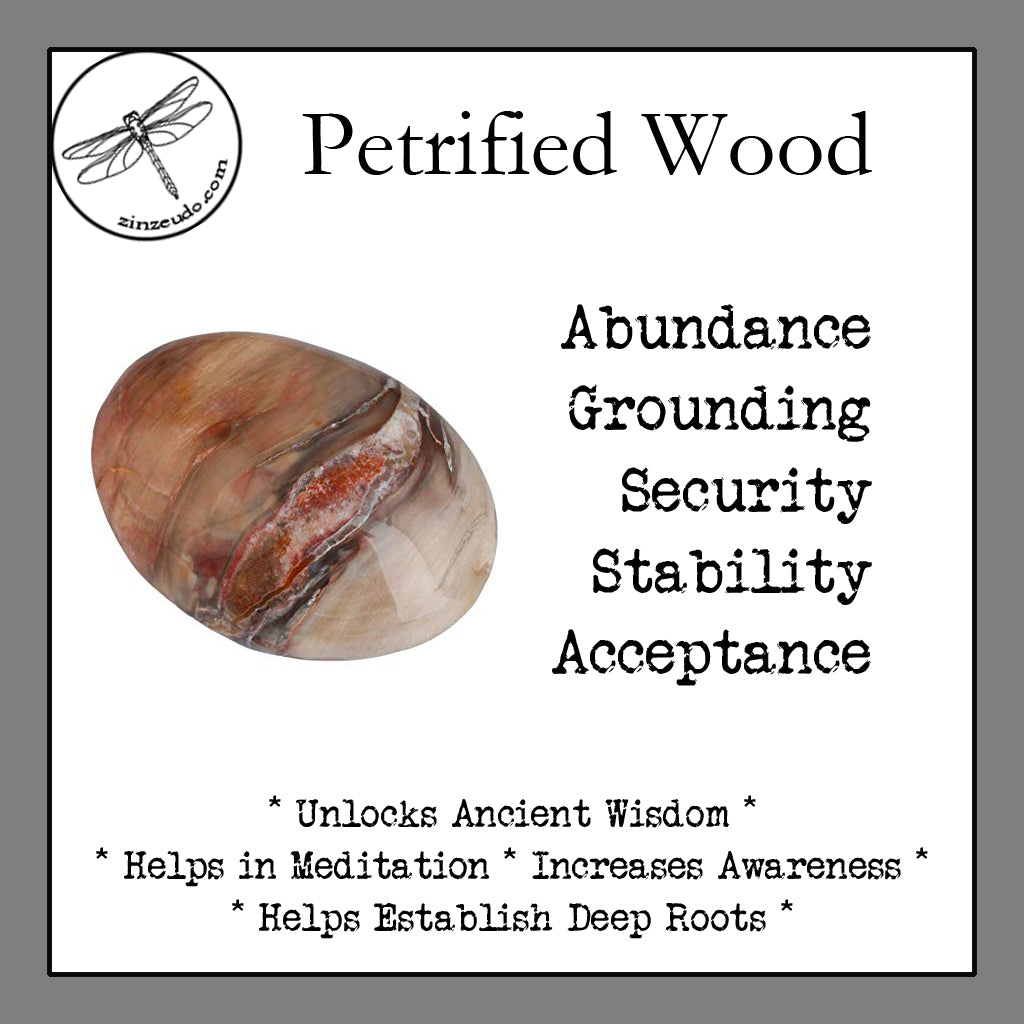 Petrified Wood Palm Stones for Ancient Wisdom - Zinzeudo Infinite Wellness