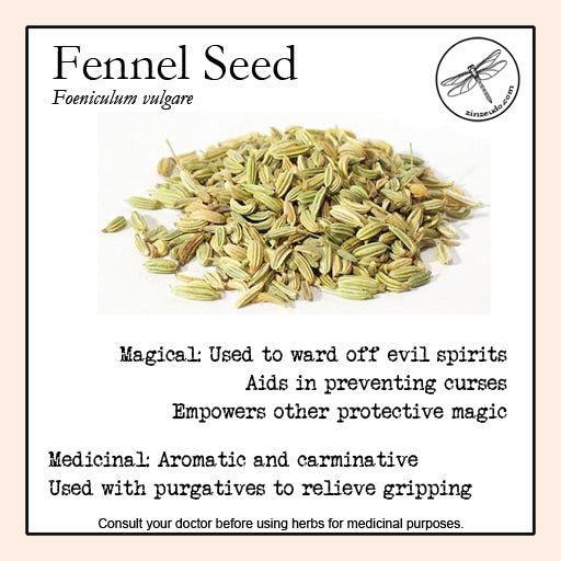 Fennel Seed 1 oz. (organic) - Zinzeudo Infinite Wellness