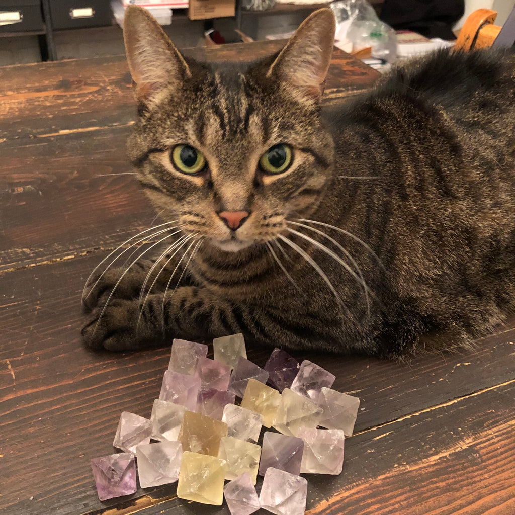Fluorite, Octahedrons for Healing, Energizing & Cleansing - Zinzeudo Infinite Wellness